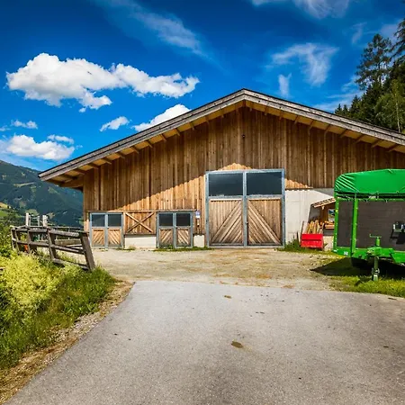 Apartment Rieserhof Mittersill